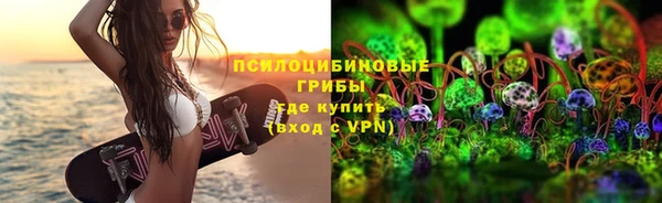 сатива Алексеевка