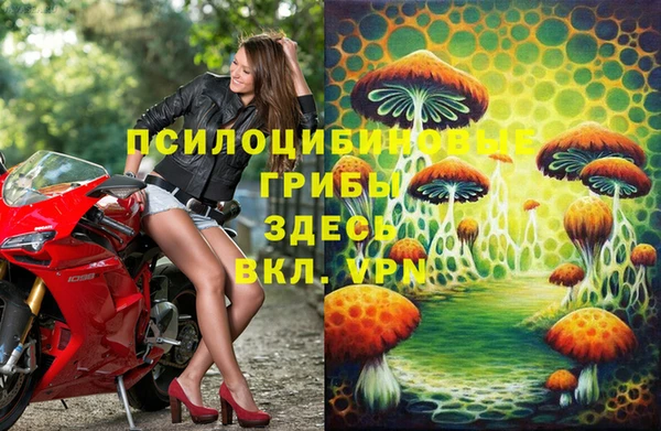 мяу мяу мука Алзамай