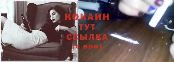 мяу мяу мука Алзамай