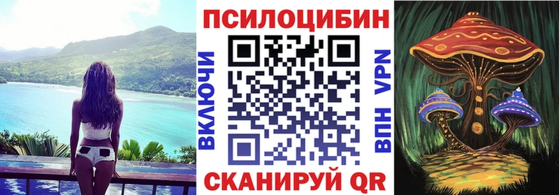 Галлюциногенные грибы MAGIC MUSHROOMS  наркошоп  Черноголовка 